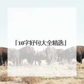 10字好句大全精选