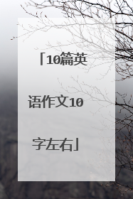 10篇英语作文10字左右
