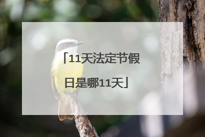 11天法定节假日是哪11天