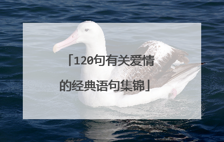 120句有关爱情的经典语句集锦