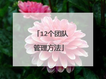 12个团队管理方法