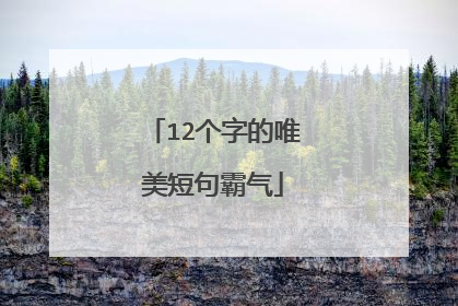 12个字的唯美短句霸气
