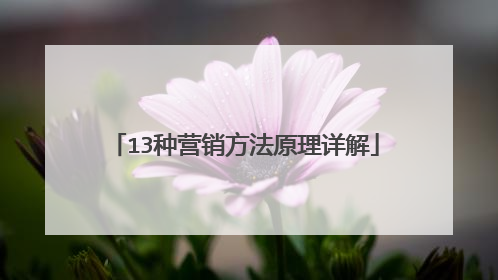 13种营销方法原理详解