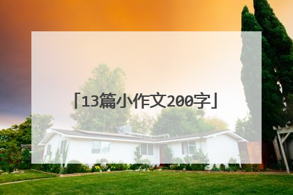 13篇小作文200字