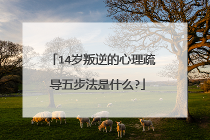 14岁叛逆的心理疏导五步法是什么?