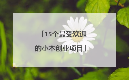 15个最受欢迎的小本创业项目