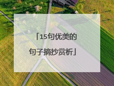 15句优美的句子摘抄赏析