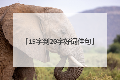 15字到20字好词佳句