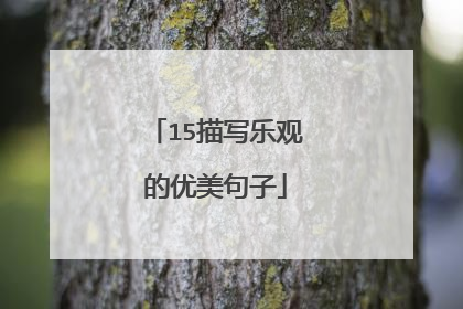 15描写乐观的优美句子