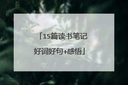 15篇读书笔记好词好句+感悟