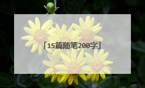 15篇随笔200字