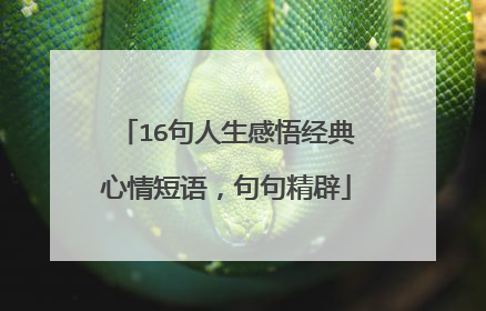 16句人生感悟经典心情短语,句句精辟