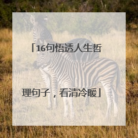 16句悟透人生哲理句子，看清冷暖