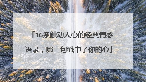 16条触动人心的经典情感语录,哪一句戳中了你的心