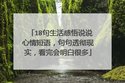 18句生活感悟说说心情短语,句句透彻现实,看完会明白很多