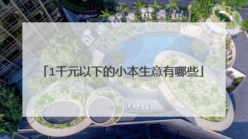 1千元以下的小本生意有哪些