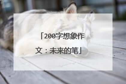 200字想象作文：未来的笔