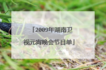 2009年湖南卫视元宵晚会节目单