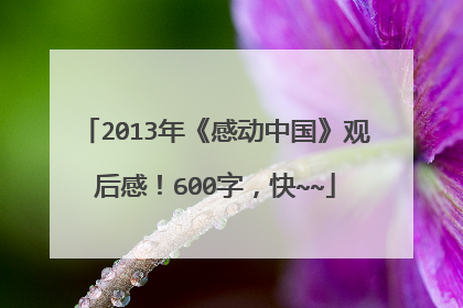 2013年《感动中国》观后感!600字,快~~