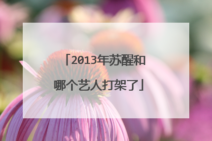 2013年苏醒和哪个艺人打架了