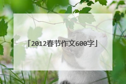 2012春节作文600字