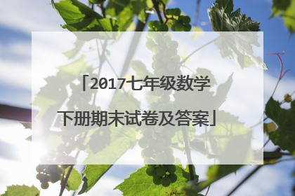 2017七年级数学下册期末试卷及答案