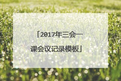 2017年三会一课会议记录模板