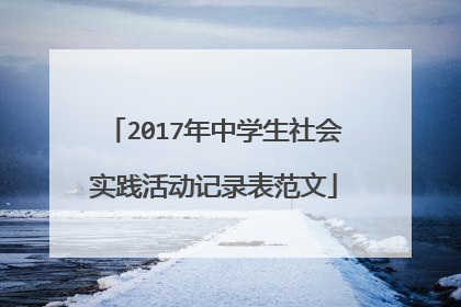 2017年中学生社会实践活动记录表范文