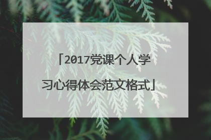 2017党课个人学习心得体会范文格式