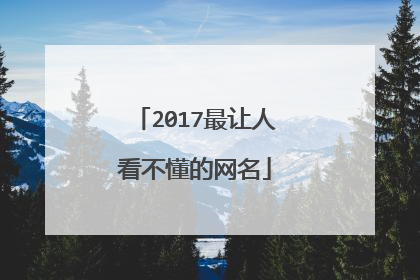 2017最让人看不懂的网名
