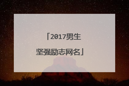 2017男生坚强励志网名