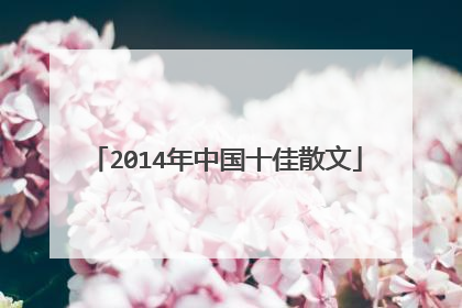 2014年中国十佳散文