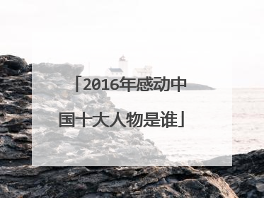 2016年感动中国十大人物是谁