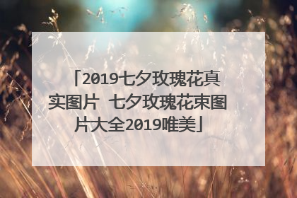 2019七夕玫瑰花真实图片 七夕玫瑰花束图片大全2019唯美
