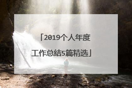 2019个人年度工作总结5篇精选