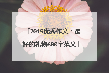 2019优秀作文:最好的礼物600字范文
