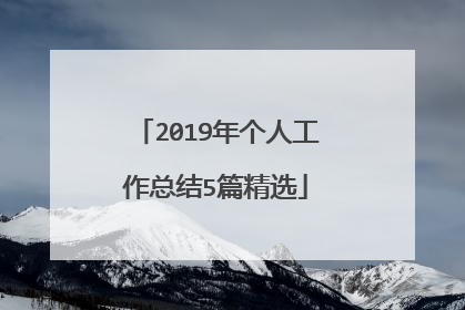 2019年个人工作总结5篇精选