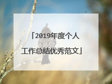 2019年度个人工作总结优秀范文