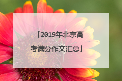 2019年北京高考满分作文汇总