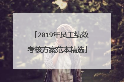 2019年员工绩效考核方案范本精选