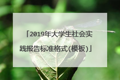 2019年大学生社会实践报告标准格式(模板)