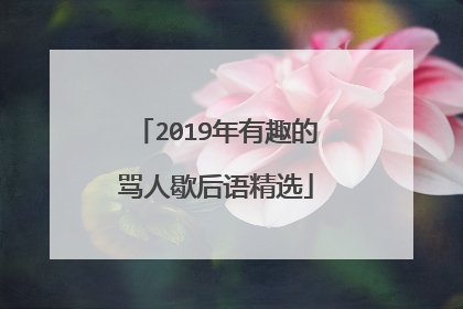 2019年有趣的骂人歇后语精选