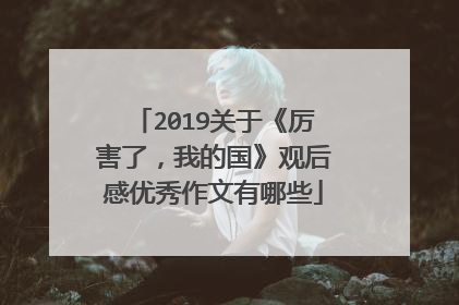 2019关于《厉害了，我的国》观后感优秀作文有哪些