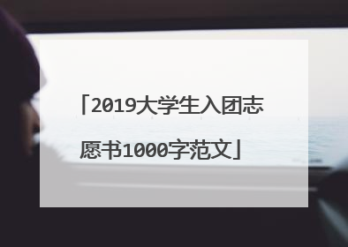 2019大学生入团志愿书1000字范文
