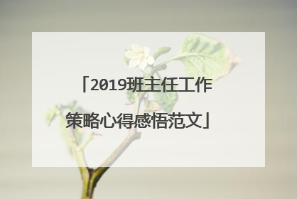 2019班主任工作策略心得感悟范文