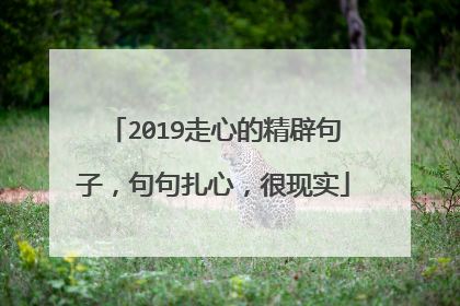 2019走心的精辟句子,句句扎心,很现实
