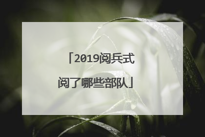 2019阅兵式阅了哪些部队