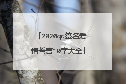 2020qq签名爱情誓言10字大全