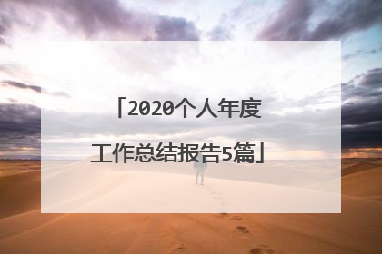2020个人年度工作总结报告5篇