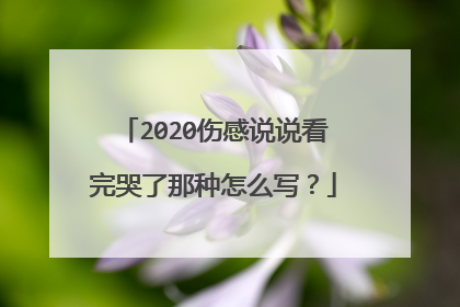 2020伤感说说看完哭了那种怎么写?